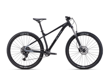 CTM ZEPHYR Comp 2025.png