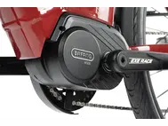 Saga_red_3.webp