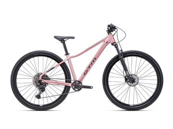 CTM CHARISMA 5.0 2025