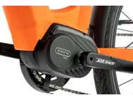 saga_orange_3.webp